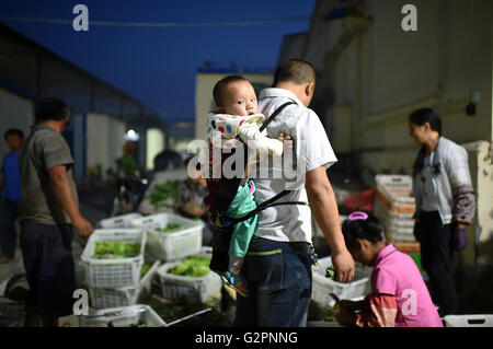 (160602)--YINCHUAN, 2. Juni 2016 (Xinhua)--Xie Dihuai, ein Landarbeiter aus Südwesten Chinas Provinz Guizhou, trägt sein Kind auf den Rücken während der Arbeit in der Guinan Dorf pflanzliche Basis in Changxin Stadt von Helan County, Nordwesten Chinas autonomen Region Ningxia Hui, 31. Mai 2016.   In den letzten Jahren hat Ningxia 24 Gemüse Basen liefern Gemüse für Hongkong gebaut. Derzeit liefern die Grundlagen Chinesisch Kale, Guangdong Kohl und einige andere Sorten, die den Geschmack der Menschen im Süden Chinas zu erfüllen. Das Gemüse sind mit Kühlkette von Ningxia nach Hong Kong zu transportiert. Stockfoto