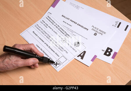 Abschluss einer Briefwahl-Papier mit einem Kreuz in einer Box, die Europäische Union zu verlassen. 2. Mai 2016 Stockfoto