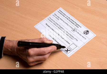 Abschluss eine Briefwahl-Papier mit einem Kreuz in einer Box zu verlassen, der Europäischen Union 02 Mai 2016 Stockfoto