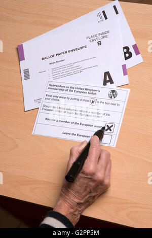 Abschluss einer Briefwahl-Papier mit einem Kreuz in einer Box in der Europäischen Union bleiben. 2. Mai 2016 Stockfoto