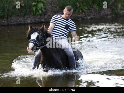 Appleby in Westmorland, Cumbria, UK. 2. Juni 2016. Appleby Horse Fair, Appleby in Westmorland, Cumbria, England, Großbritannien Credit: Jamie Tyerman/Alamy Live-Nachrichten Stockfoto