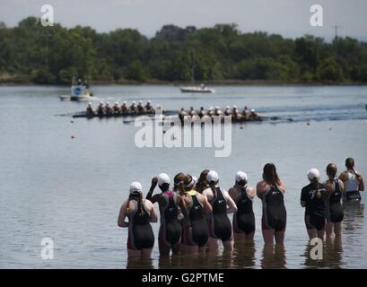 Gold River, Kalifornien, USA. 28. Mai 2016. Am Washington College Frauen jubeln auf ihre Teamkollegen, die während der 2016 NCAA nationale Rowing Championships auf See Natoma auf Donnerstag, 26. Mai 2016 der Division III Eights Petit Final Rudern sind © Herbst Payne/Sacramento Bee/ZUMA Draht/Alamy Live News Stockfoto