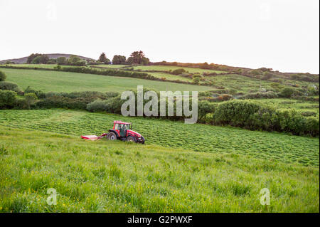 Ballydehob, Irland. 2. Juni 2016. Nach einem schönen Junitag mit Sonnenuntergang, schneidet einem irischen Bauern Silage bereit für Rettung, die morgen stattfinden wird. Bildnachweis: Andy Gibson/Alamy Live-Nachrichten. Stockfoto