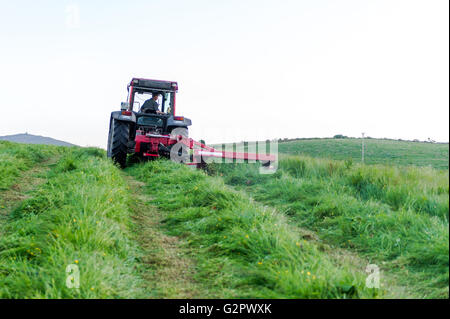 Ballydehob, Irland. 2. Juni 2016. Nach einem schönen Junitag mit Sonnenuntergang, schneidet einem irischen Bauern Silage bereit für Rettung, die morgen stattfinden wird. Bildnachweis: Andy Gibson/Alamy Live-Nachrichten. Stockfoto