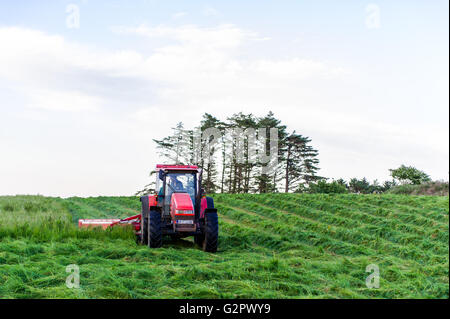 Ballydehob, Irland. 2. Juni 2016. Nach einem schönen Junitag mit Sonnenuntergang, schneidet einem irischen Bauern Silage bereit für Rettung, die morgen stattfindet. Bildnachweis: Andy Gibson/Alamy Live-Nachrichten. Stockfoto