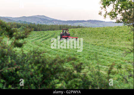 Ballydehob, Irland. 2. Juni 2016. Nach einem schönen Junitag mit Sonnenuntergang, schneidet einem irischen Bauern Silage bereit für Rettung, die morgen stattfinden wird. Bildnachweis: Andy Gibson/Alamy Live-Nachrichten. Stockfoto