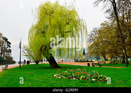 Trauerweide Baum im Park (von Les Jardins de l ' Europe), Annecy, Frankreich Stockfoto