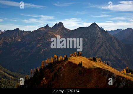 WA12676-00... WASHINGTON - Herbst-Blick vom Ahorn-Pass im Bereich Okanogan-Wenatchee National Forest in den North-Cascades. Stockfoto