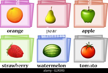 Wortkarten für Obst und Gemüse illustration Stock Vektor