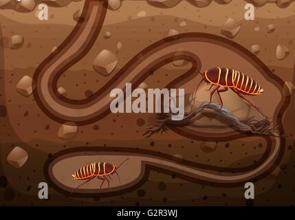 Underground-Szene mit Kakerlaken illustration Stock Vektor