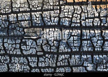 Close-up Hintergrund von verbranntem Holz Stockfoto