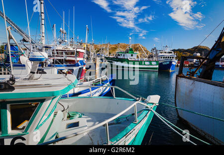 Angelboote/Fischerboote und Trawler im Hafen de Grave, Neufundland. Kanada Stockfoto