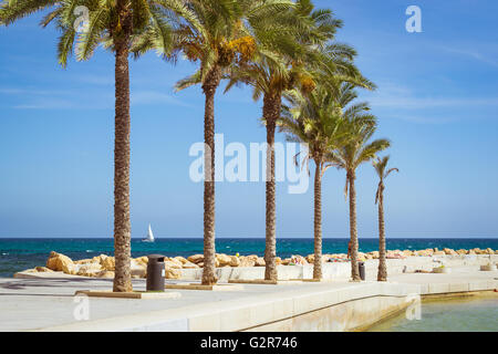 TORREVIEJA, Spanien - 13. September 2014: Sonnige Mittelmeer Strand, Strandpromenade mit Palmen, Boot an der Küste, Torrevieja Stockfoto