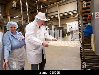 Boris Johnson bei einem Besuch in Bauernhaus Kekse in Nelson, Lancashire, wo er zusammen mit Priti Patel und Michael Gove im Auftrag der EU-Abstimmung verlassen Referendumskampagne Kampagnen waren. Stockfoto