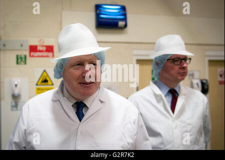 Boris Johnson (links) und Michael Gove während eines Besuchs in Bauernhaus Kekse in Nelson, Lancashire, wo sie im Auftrag der EU-Abstimmung verlassen Referendumskampagne Kampagnen waren. Stockfoto