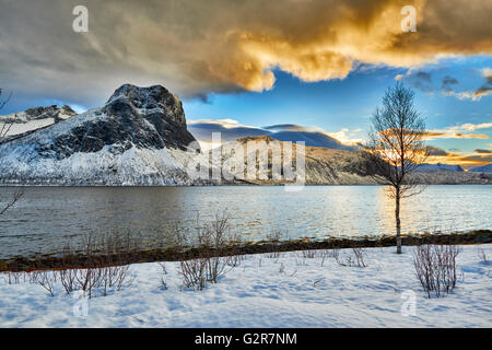 Winterlandschaft von Bergsfjorden, Senja, Skaland, Troms, Norwegen, Europa Stockfoto