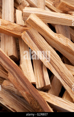 Palo Santo Baum Räucherstäbchen Stockfoto