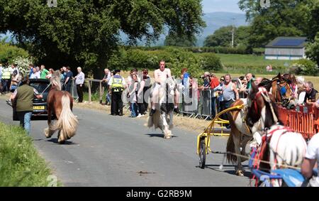 Reisende auf dem Weg zur Appleby am ersten Tag von der Pferdemesse in Appleby, Cumbria, ist ein jährliches Treffen der Zigeuner und Reisende. Stockfoto