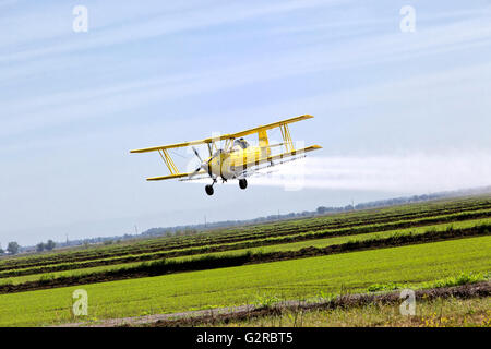 Turbo Prop Bi-Wing Sprühflugzeug wenn Chemikalien, Paddy Reis. Stockfoto