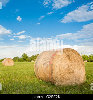 Großen Heuballen rollt in einem grünen Feld mit blauem Himmel und Wolken Stockfoto