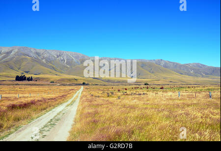 Unbefestigte Straße führt durch grasbewachsenen Landschaft Berge in der Ferne in Otago, Neuseeland Stockfoto