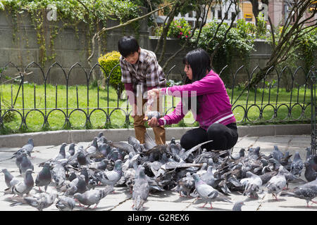 La Paz, Bolivien - 24. Oktober 2015: Leute füttern Tauben auf Plaza Murillo. Stockfoto