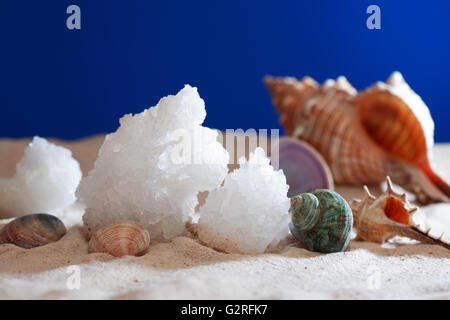 Stücke von echten Salz vom Toten Meer auf Sand in der Nähe von Muscheln Stockfoto