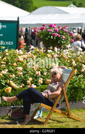 Frau im Liegestuhl neben rose Grenze bei Hay Festival dösen Stockfoto