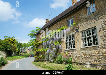 Glyzinien über die Mauer das Ebrington Wappen. Ebrington, Chipping Campden, Gloucestershire, England Stockfoto