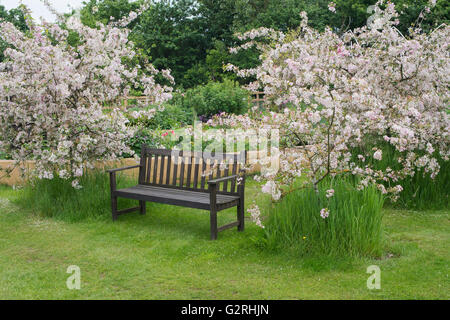 Ryton Bio-Garten im Frühling. Warwickshire, England Stockfoto