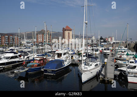 Swansea Yachthafen im alten Stadtdock, Swansea Wales UK, Segelboote vor Anker, maritimes Ufer Stockfoto
