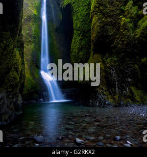 Ein schöner Wasserfall fließt in einem üppigen moosigen Canyon in Columbia River Gorge, Oregon Stockfoto