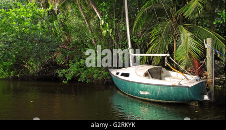 Ein kleines verlassenen Segelboot an einem tropischen Dschungelfluss in Süd-Florida Stockfoto