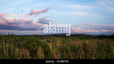 Eine friedliche Ruhe Suset über Florida Everglades Sawgrass Grasland Stockfoto