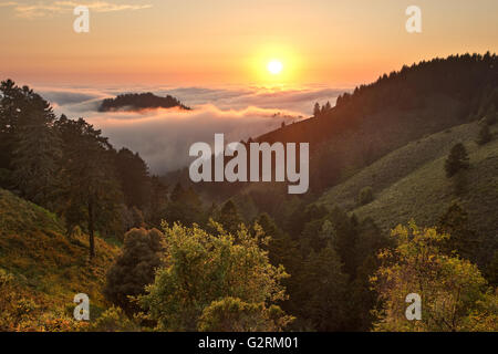 Dichter Nebel rollt über dem Pazifischen Ozean bei Sonnenuntergang über California Küstengebirge Stockfoto