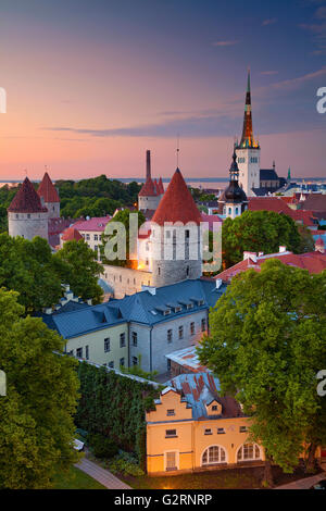 Tallinn. Bild der Altstadt von Tallinn in Estland während des Sonnenuntergangs. Stockfoto