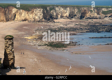 Viele Frau Stapel / Marsden bay / The Leas, South Shields Stockfoto