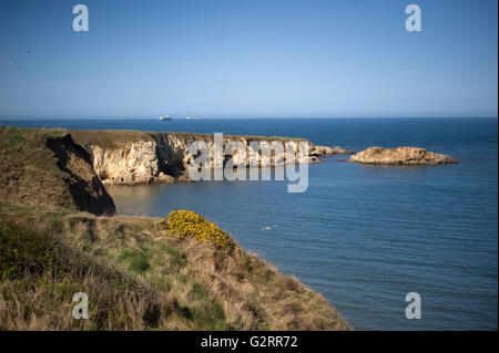 Leas, South Shields Stockfoto