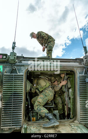 Gardelegen, Deutschland, Panzer Grenadier-Kompanie in einer Praxis auf dem Truppenübungsplatz Altmark Stockfoto