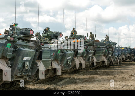 Gardelegen, Deutschland, Panzer Grenadier-Kompanie in einer Praxis auf dem Truppenübungsplatz Altmark Stockfoto