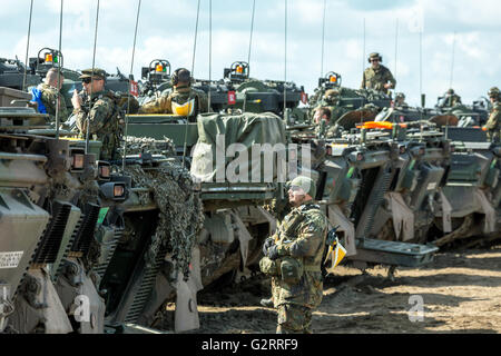 Gardelegen, Deutschland, Panzer Grenadier-Kompanie in einer Praxis auf dem Truppenübungsplatz Altmark Stockfoto