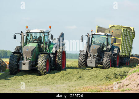 Silage mit zwei Traktoren im Sommer Stockfoto