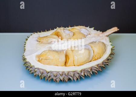 König der Früchte, Durian bereit, Aqua und dunkel grau hinterlegte gerissen werden Stockfoto