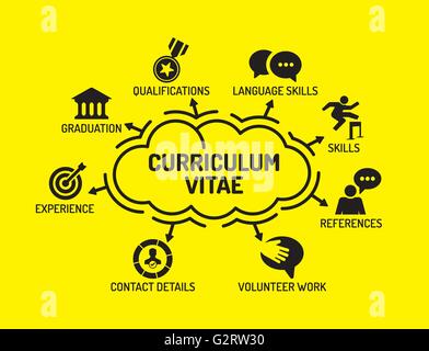 Curriculum Vitae. Diagramm mit Keywords und Symbole auf gelbem Hintergrund Stock Vektor