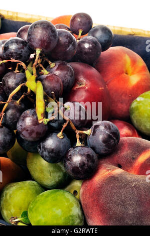 Korb mit Obst isoliert auf weißem Hintergrund im studio Stockfoto