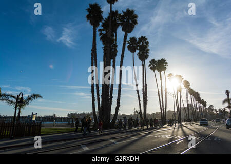 Die Straße von Santa Cruz, die Autos, eine Gruppe von Menschen, Sonnenuntergang und die Bäume auf den Boulevard, Kalifornien, USA. Stockfoto