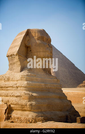 Wächter-Sphinx bewacht die Gräber der Pharaonen in Gizeh. Kairo, Ägypten Stockfoto