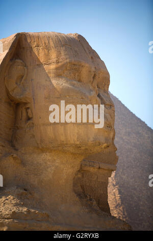 Wächter-Sphinx bewacht die Gräber der Pharaonen in Gizeh. Kairo, Ägypten Stockfoto