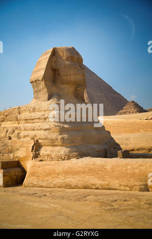 Wächter-Sphinx bewacht die Gräber der Pharaonen in Gizeh. Kairo, Ägypten Stockfoto