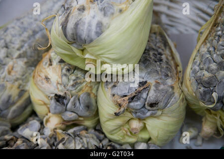 Huitlacoche, Mais Smut, auf einem Markt in Mexiko-Stadt Stockfoto